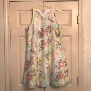 Bagley Mischka Beautiful Organza Embroidered Dress